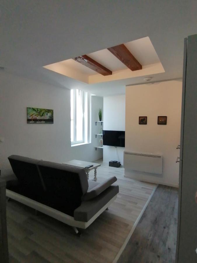 Apartmán Jungle Zen Beau T2 Avec Jardin Gare 100M Tonneins Exteriér fotografie